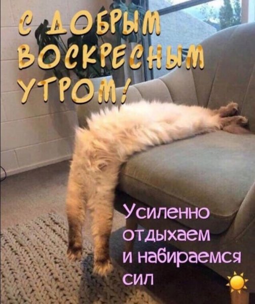 Доброе утро зимнее прикольное понедельник