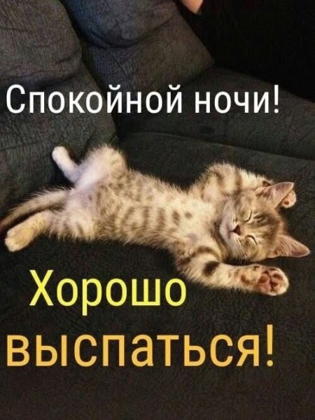 Прикольные поздравления с воскресеньем