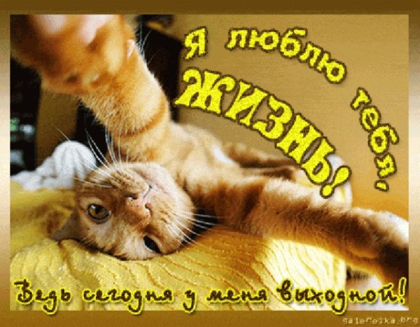Утро воскресенья