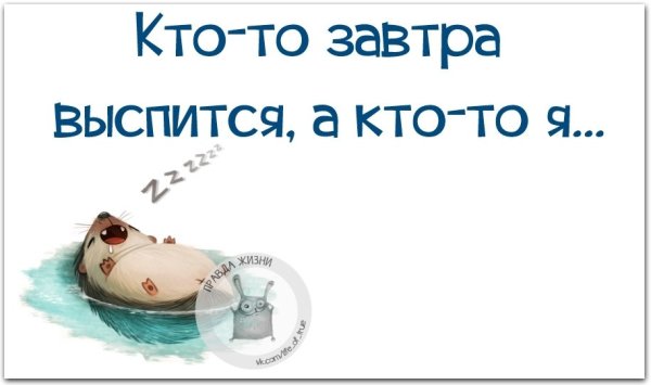 Кот смешно спит