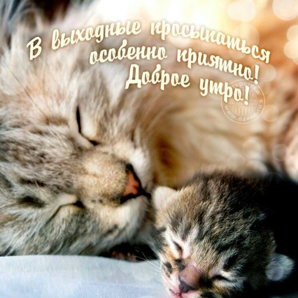 Открытка просыпайся