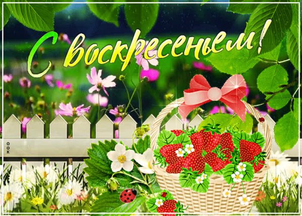 Прекрасного воскресенья