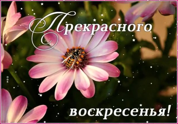 Завтрак на берегу