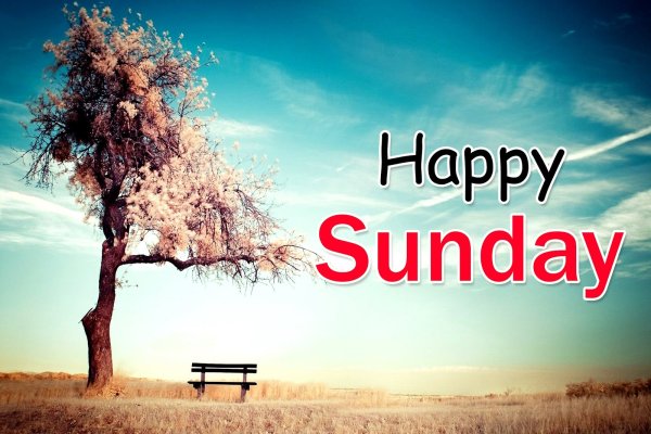 Happy Sunday фото