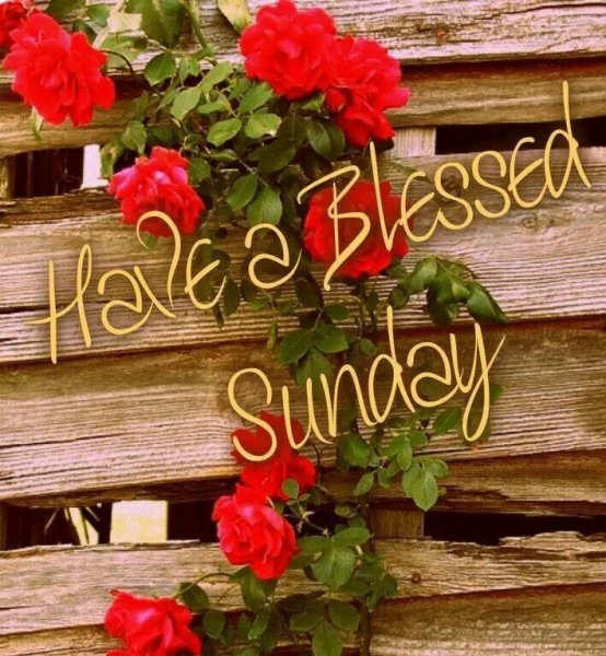 Happy Sunday фото