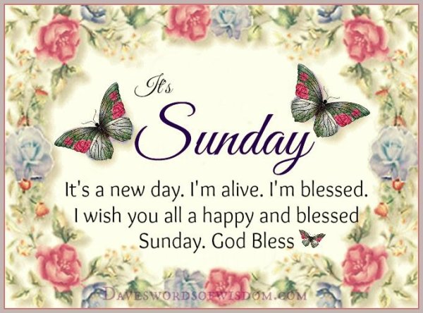 Have a blessed Sunday
