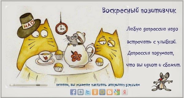 Доброго воскресенья юмор