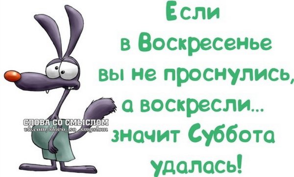 Воскресенье высказывания Веселые