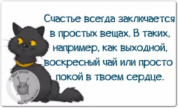 Цитаты про выходные