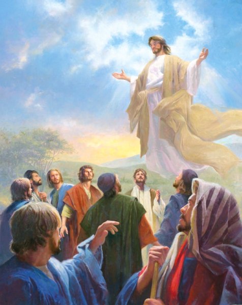 Картинка воскресенье иисуса христа (48 фото)