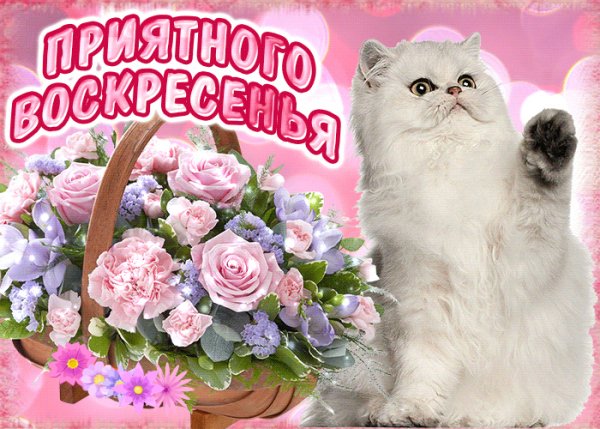 Доброго воскресного дня