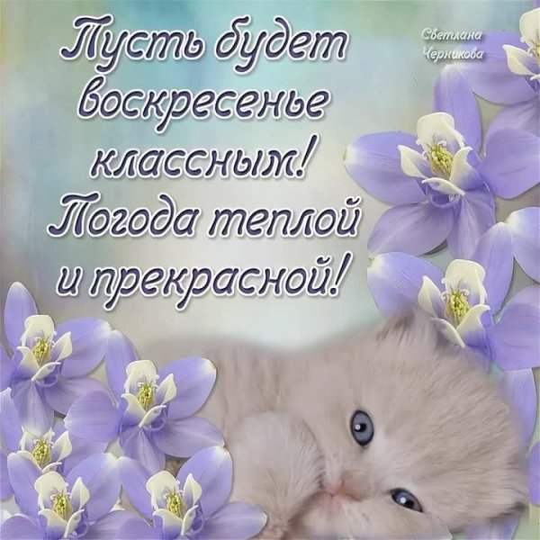 Доброго воскресного дня