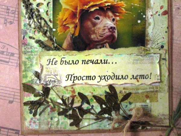 Не было печали просто
