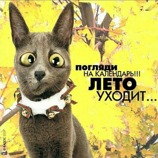 Последнее воскресенье лето