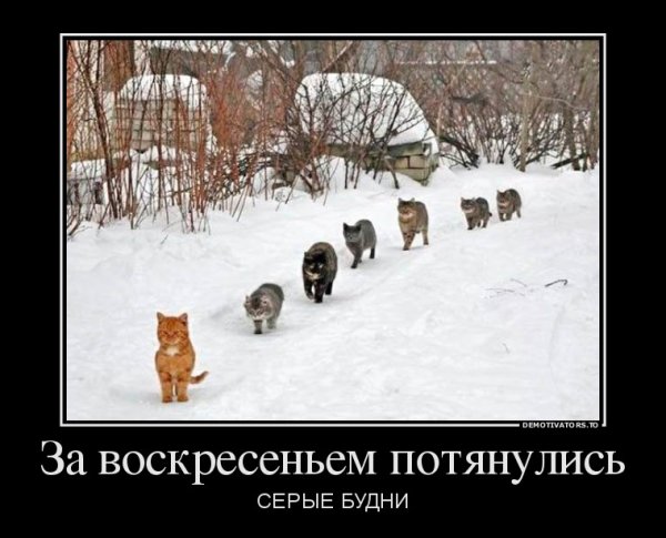 Скоро Весна последние дни зимы
