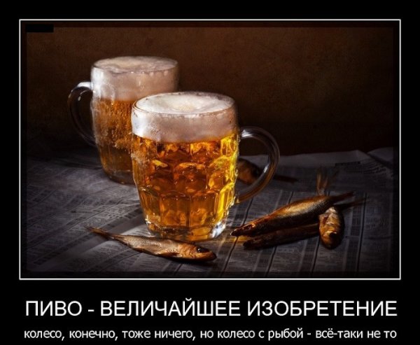 Приколы про пиво
