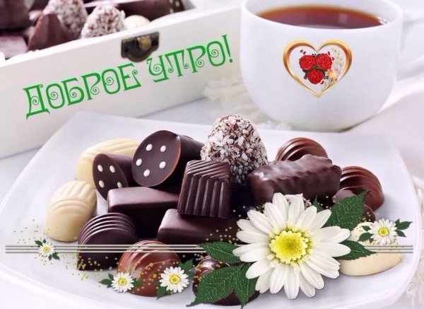 Чашка кофе в весеннем саду