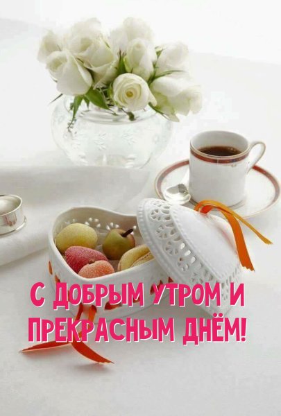 Нежное утро