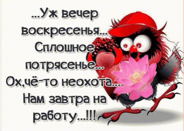 Воскресенье вечер завтра на работу