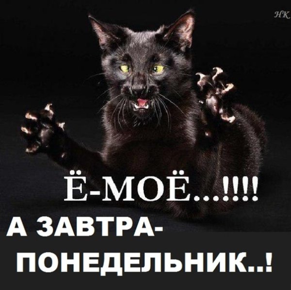 Завтра понедельник