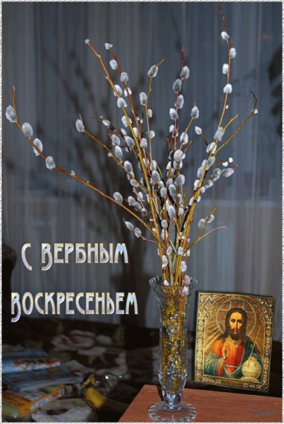 Веточка вербы с Вербным воскресеньем