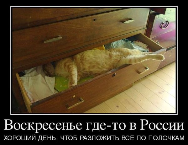 Воскресенье демотиватор