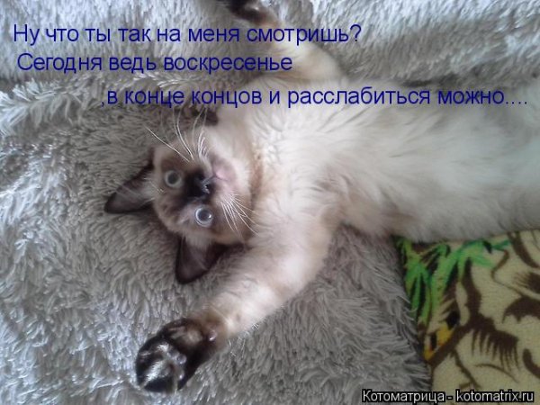 А ведь сегодня воскресенье