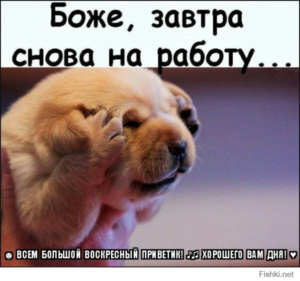 Завтра снова на работушку