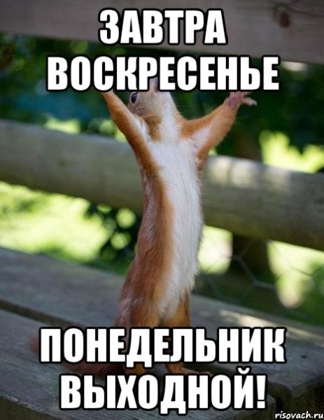 Завтра воскресенье