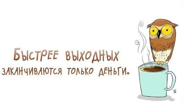 Прикольные советы на каждый день