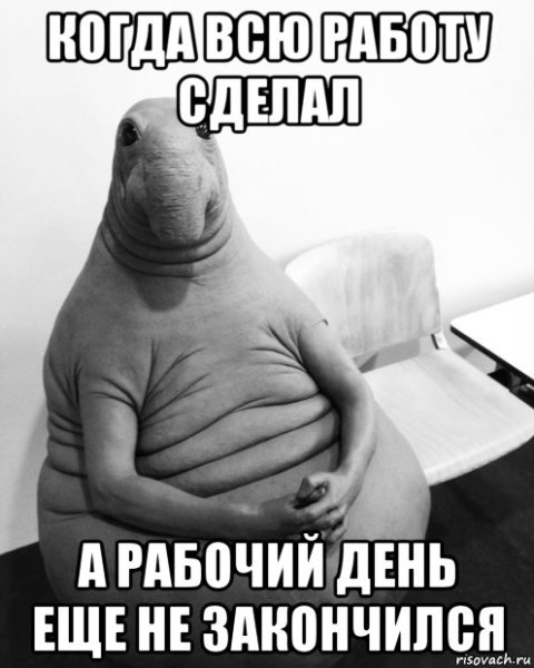 Ждун на работе