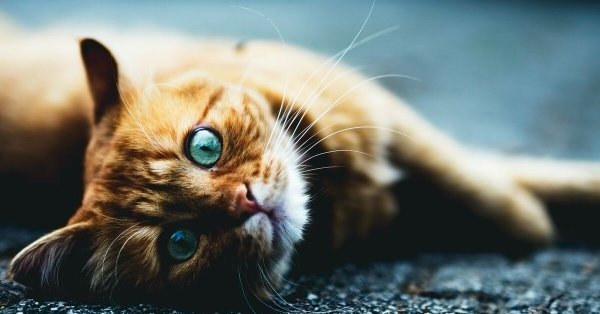 С последним июньским днем