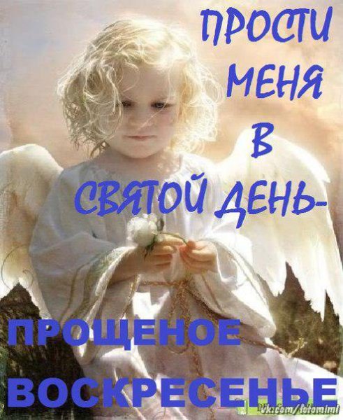Бог простит и я прощаю