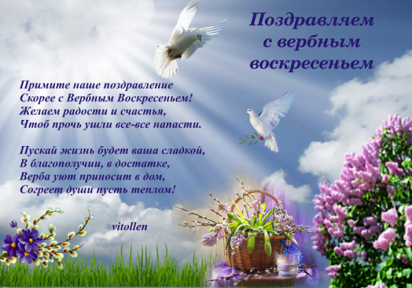 С Вербным воскресеньем открытки