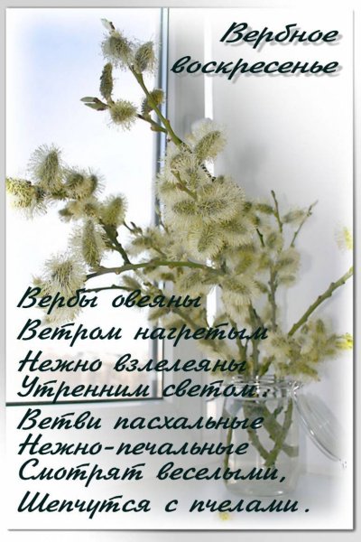 Вербное воскресенье поздрав