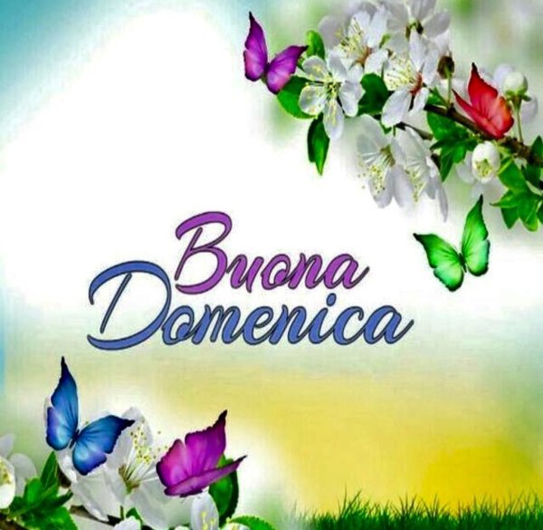 Buona domenica картинки