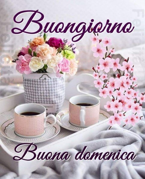 Открытки buona domenica на итальянском