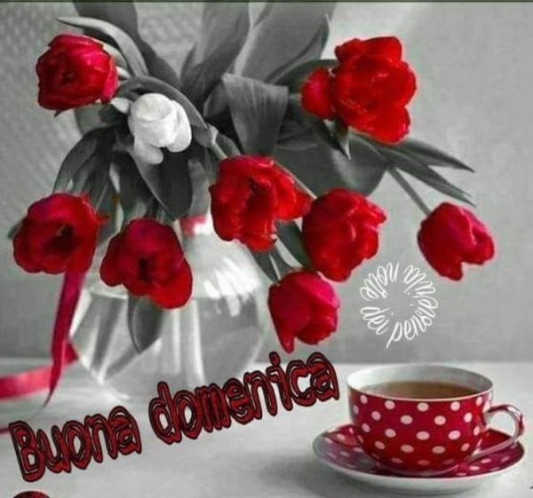 Фото buona domenica