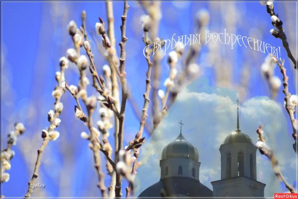 Верба Православие
