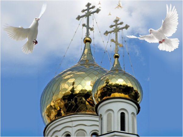 Прощёное воскресенье голубь храм