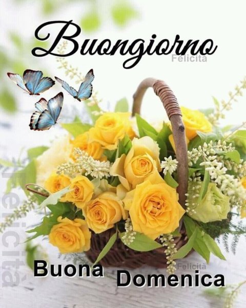 Buona domenica открытки