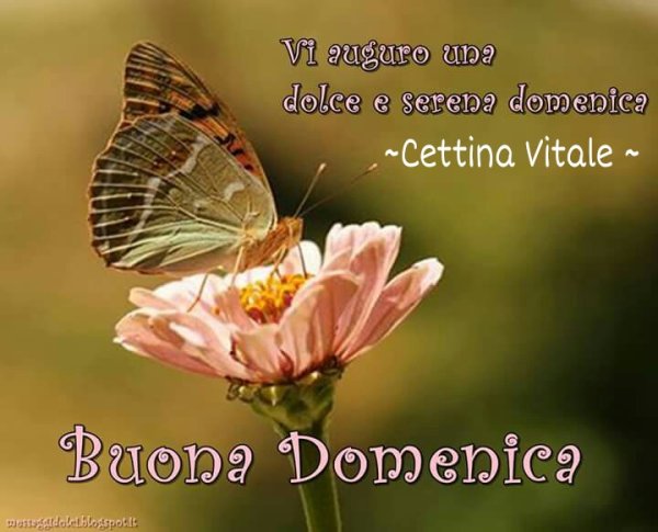 Хорошего воскресенья на итальянском