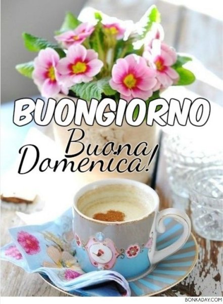 Buongiorno открытки