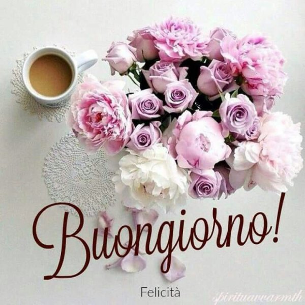 Бонжорно Миа