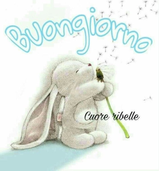 Buona giornata открытки