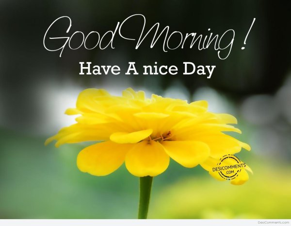Открытка have a nice Day