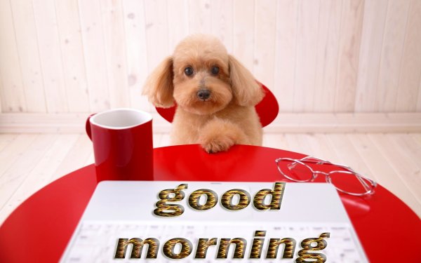 Good morning картинки