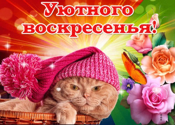 Отличного воскресенья