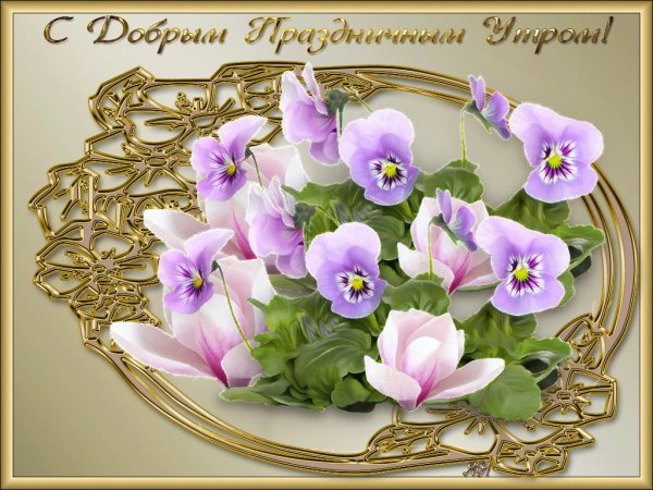 Прекрасного воскресного дня и замечательного настроения