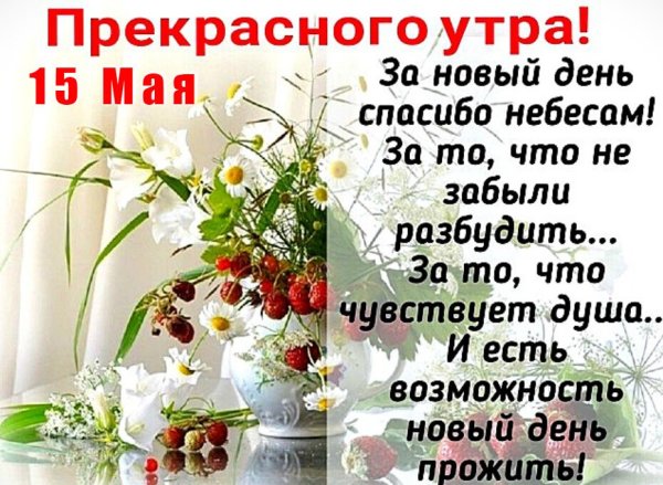 Доброго благословенного утра и хорошего дня пожелания красивые